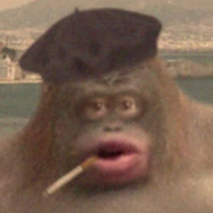 Meet your Posher, Ryan